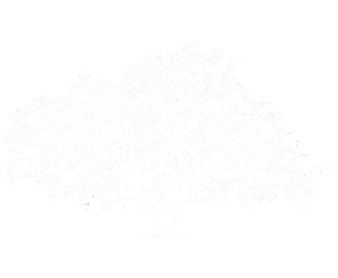 White Oak Intelligence